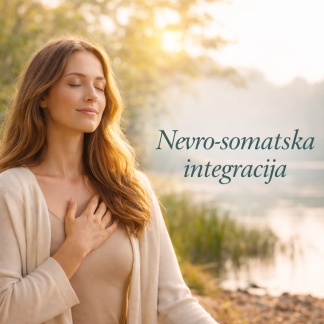 Nevro Somatska Integracija